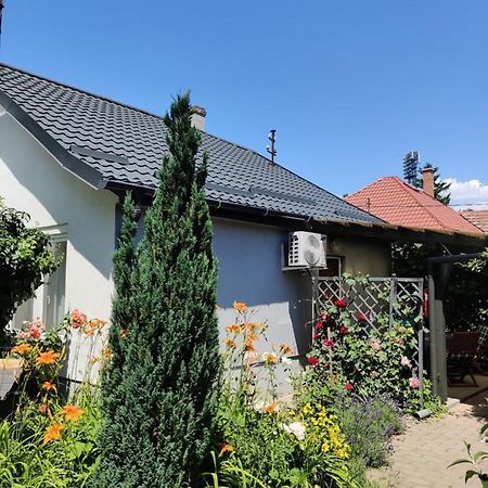 시오포크 Lenart House 1 빌라 외부 사진