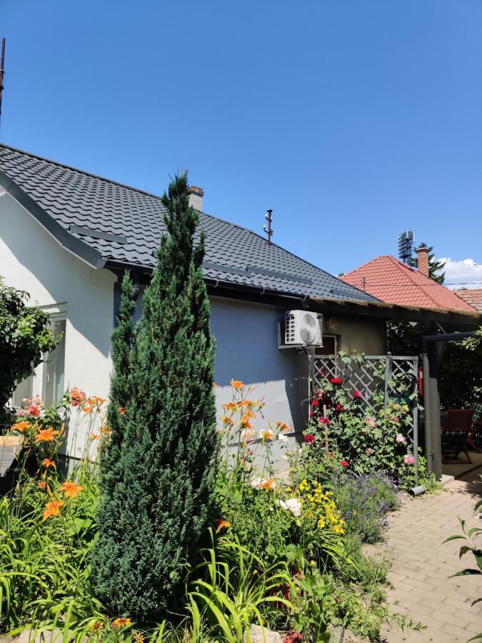 시오포크 Lenart House 1 빌라 외부 사진